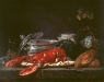 lobster-still-life2.jpg