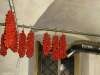 I pomodorini calabresi nella cucina di Acchiappafantasmi